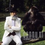 07-08-1987 Pierre Kartner and gorilla at studio Amsterdam Photo: Govert de Roos/Connu

[keywords]Posed, Eyecontact, Half Length[/keywords]